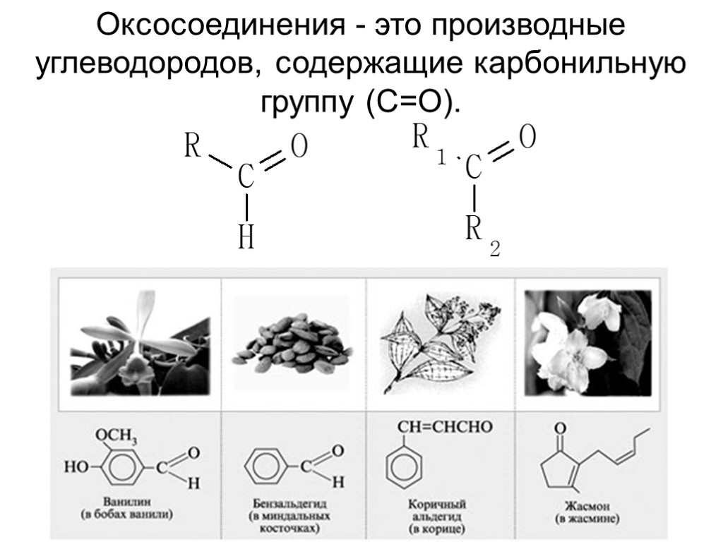 Оксосоединения - это производные углеводородов, содержащие карбонильную группу (С=О).